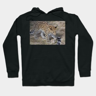 Leopard Cub Hoodie